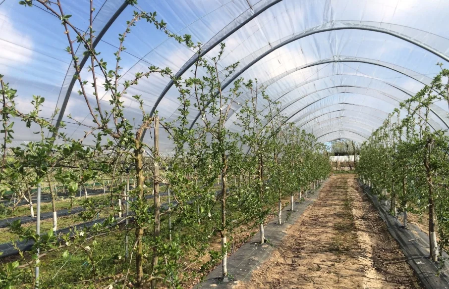 Wasseraufbereitung auf Farmen