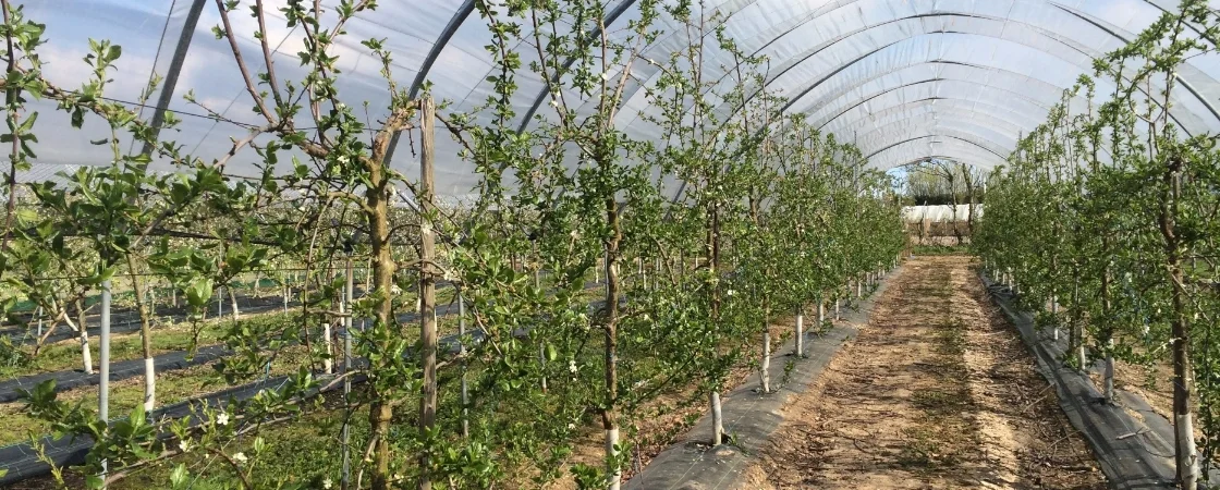 Wasseraufbereitung auf Farmen