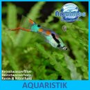 Aquintos Nitrat Nitrit Inline Wasserfilter NT1025 Nachfilter für Osmoseanlagen und zur Montage in den Filterkreislauf in Süßwasseraquarium  inkl. Anschlussset und Befestigungsclips