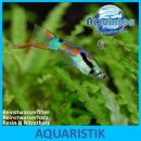 Aquintos Resin N Nitratharz - Nitratentferner für Aquaristik - Aquarium Wasserfilter