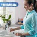 TOP-Line NKC30 Nitratfilteranlage Nitritfilteranlage + Anschlussset 4