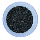 Aquintos Aktivkohlefilter Trinkwasserfilter GAC Granulat-Aktivkohle 10 x 2,5 Zoll